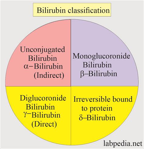 b1 b2 bilirubin|Bilirubin Test: High vs. Low Levels, Direct vs. Indirect .